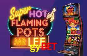 Interface Premium gybet